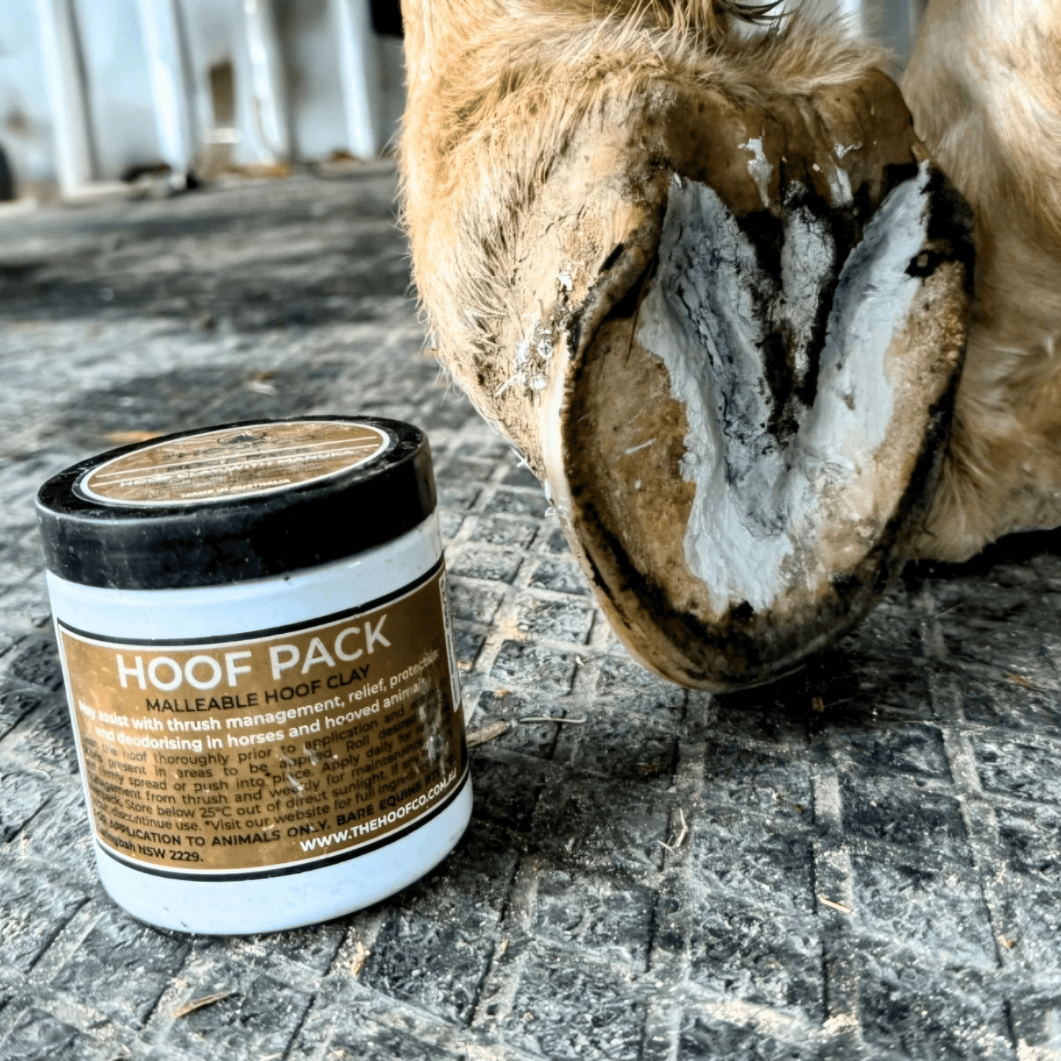 The Hoof Co Hoof Pack - Saddleworld Devonport