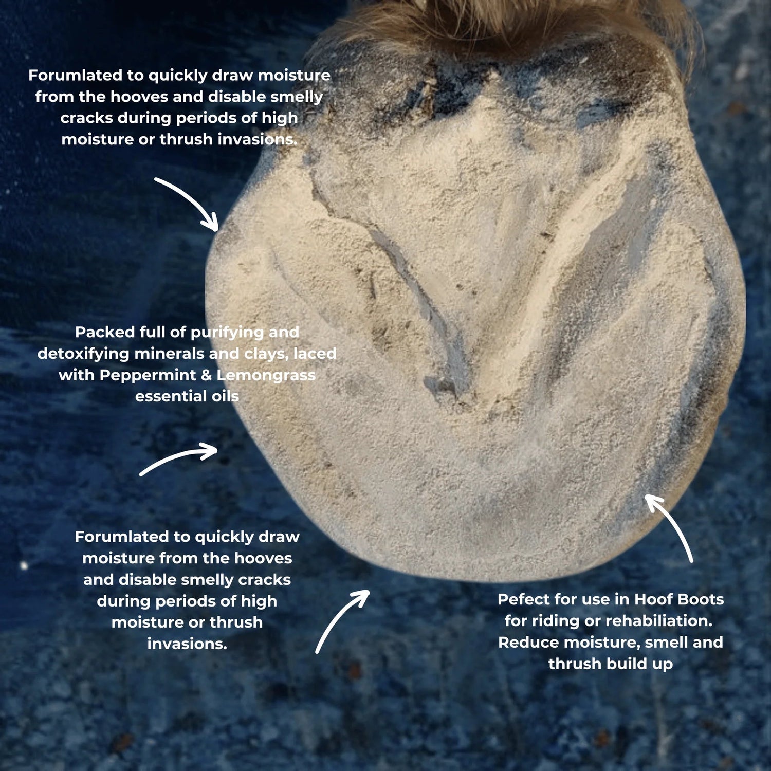 The Hoof Co Hoof Powder - Saddleworld Devonport