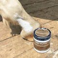 The Hoof Co Zinc Putty - Saddleworld Devonport