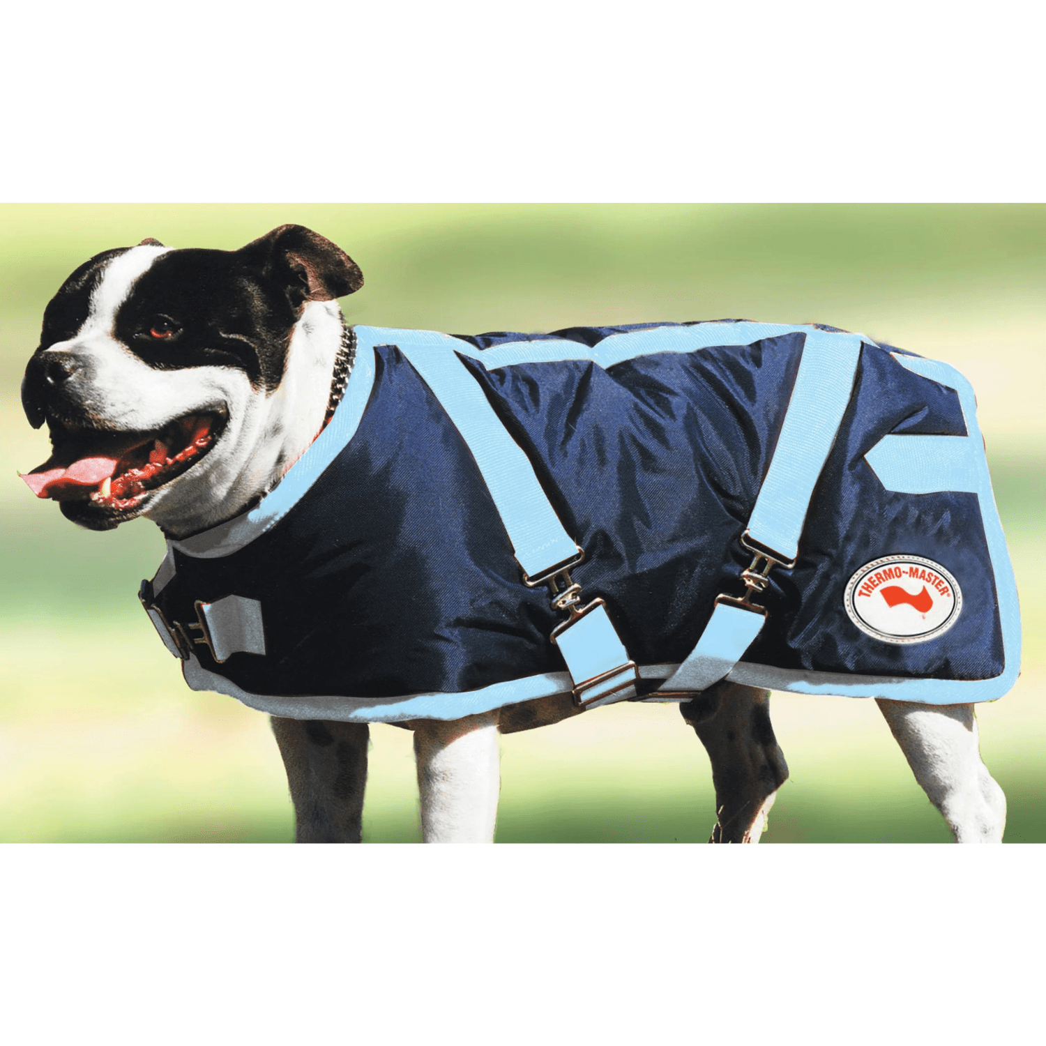 Thermo Master Supreme Dog Coat - Saddleworld Devonport