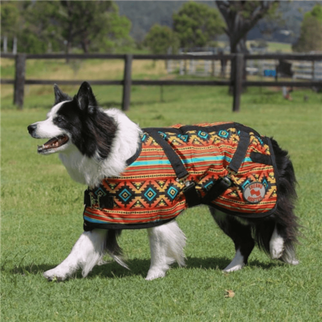 Thermomaster Supreme Dog Coat Nicoma - Saddleworld Devonport