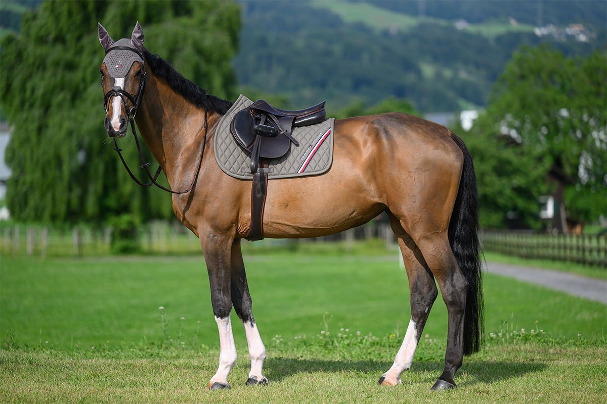 Tommy Hilfiger Stanford Jumping Saddlepad - Saddleworld Devonport