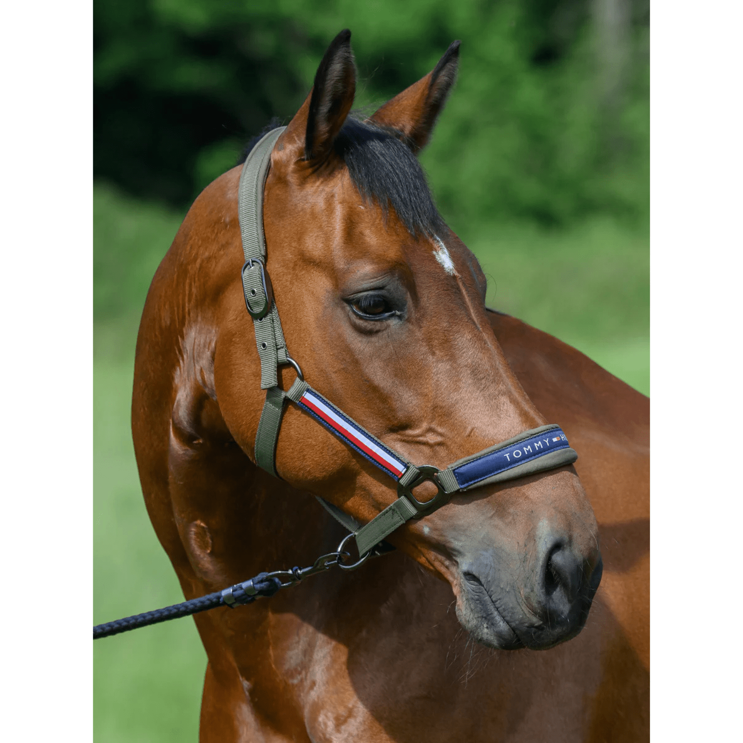 Tommy Hilfiger Yale Set Halter And Lead Rope - Saddleworld Devonport