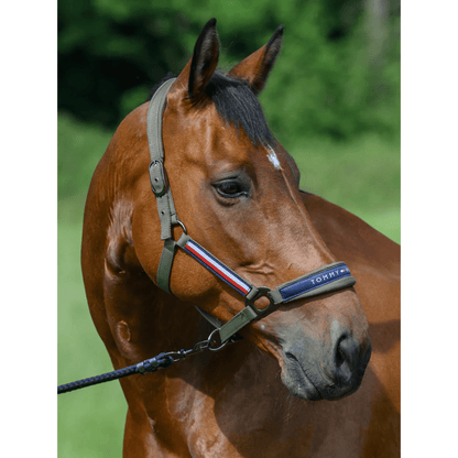 Tommy Hilfiger Yale Set Halter And Lead Rope - Saddleworld Devonport