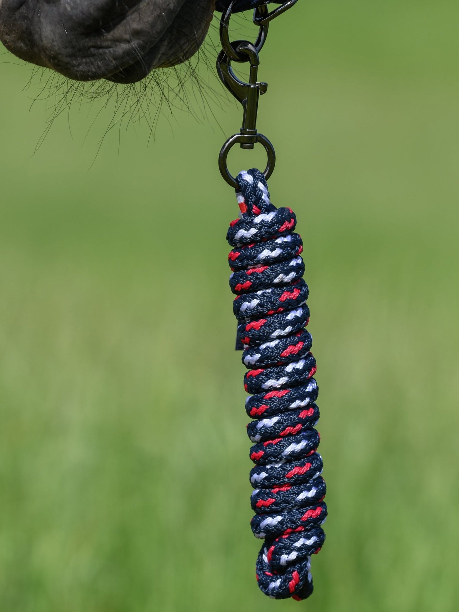 Tommy Hilfiger Yale Set Halter &amp; Lead Rope - Saddleworld Devonport