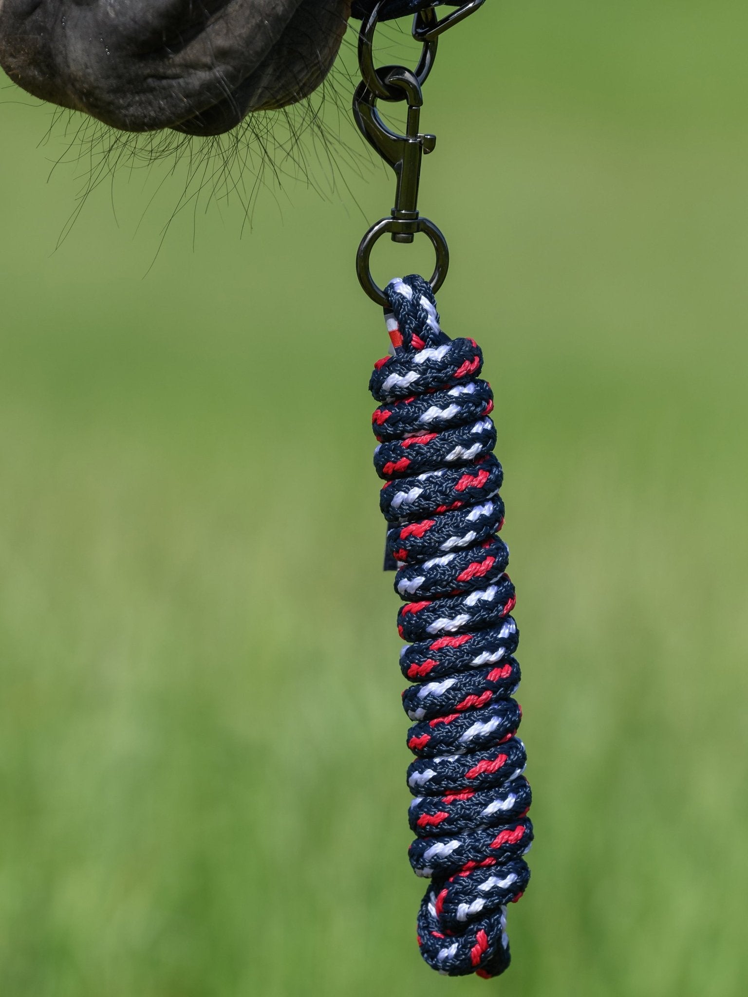 Tommy Hilfiger Yale Set Halter &amp; Lead Rope - Saddleworld Devonport