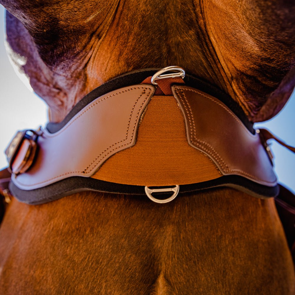 Total Saddle Fit StretchTec Shoulder Relief Cinch with Liner - Saddleworld Devonport