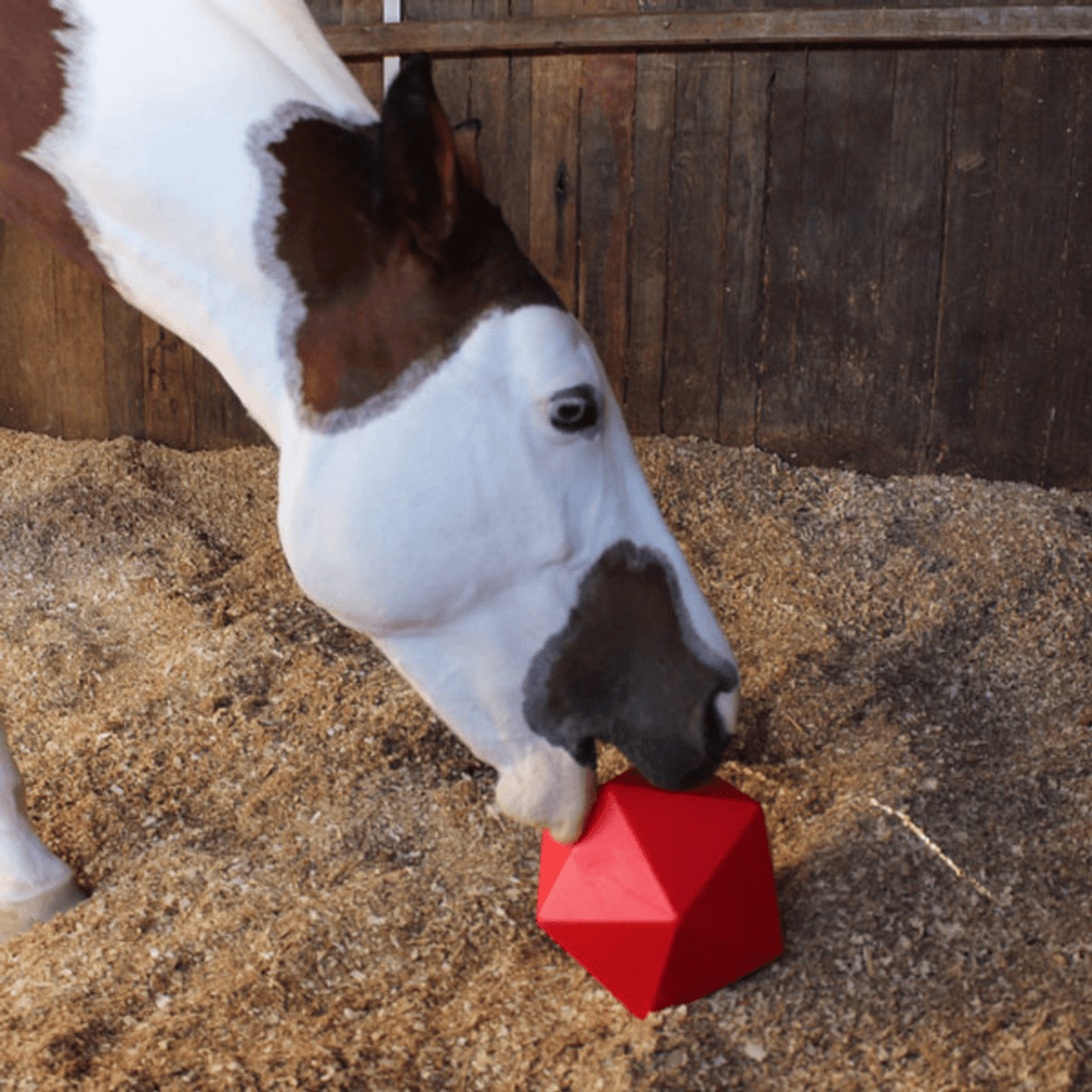 Tubtrugs Drip Feed Ball Red - Saddleworld Devonport