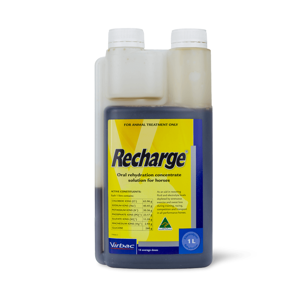 Virbac Recharge Rehydration - Saddleworld Devonport
