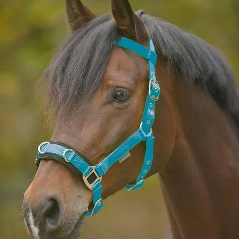 Waldhausen Cavesson &amp; Rope Blue - Saddleworld Devonport