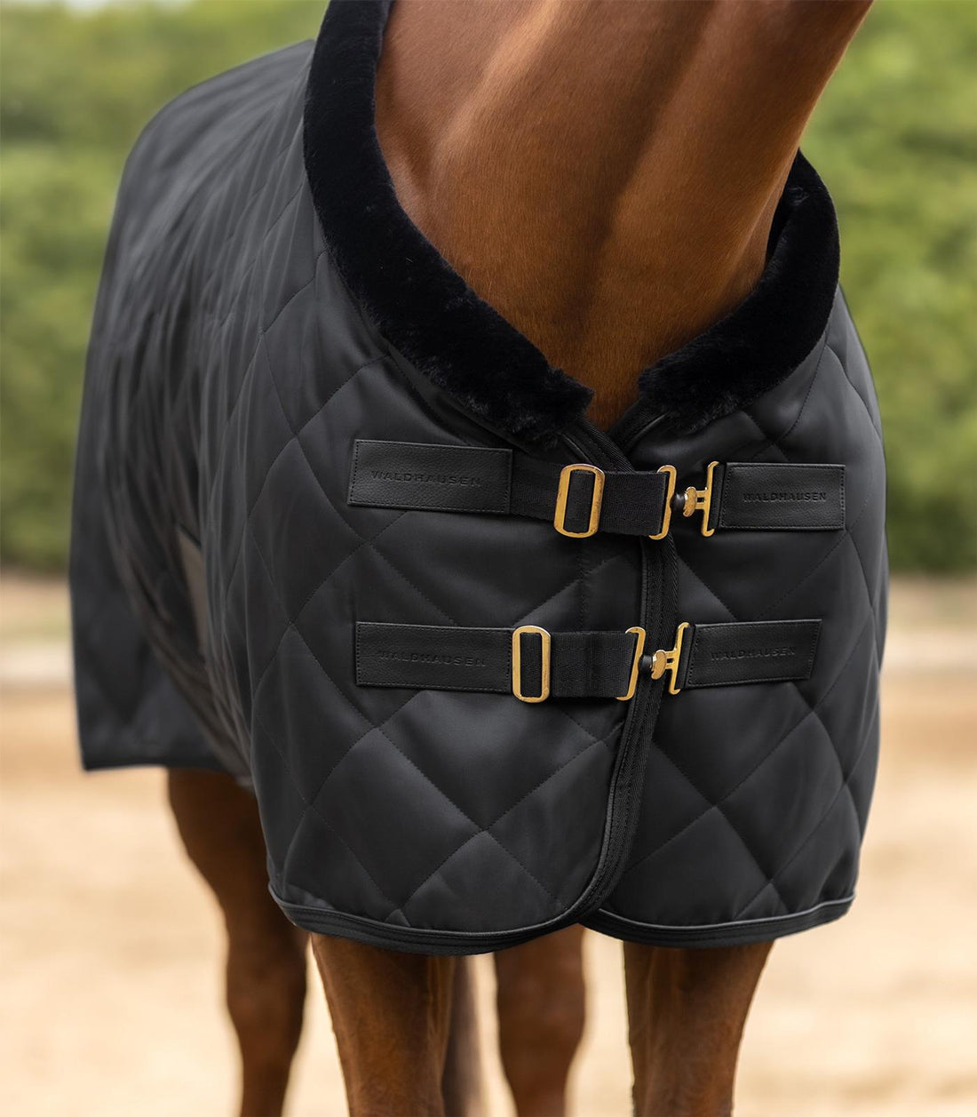 Waldhausen Exclusive Show/Stable Rug - Saddleworld Devonport