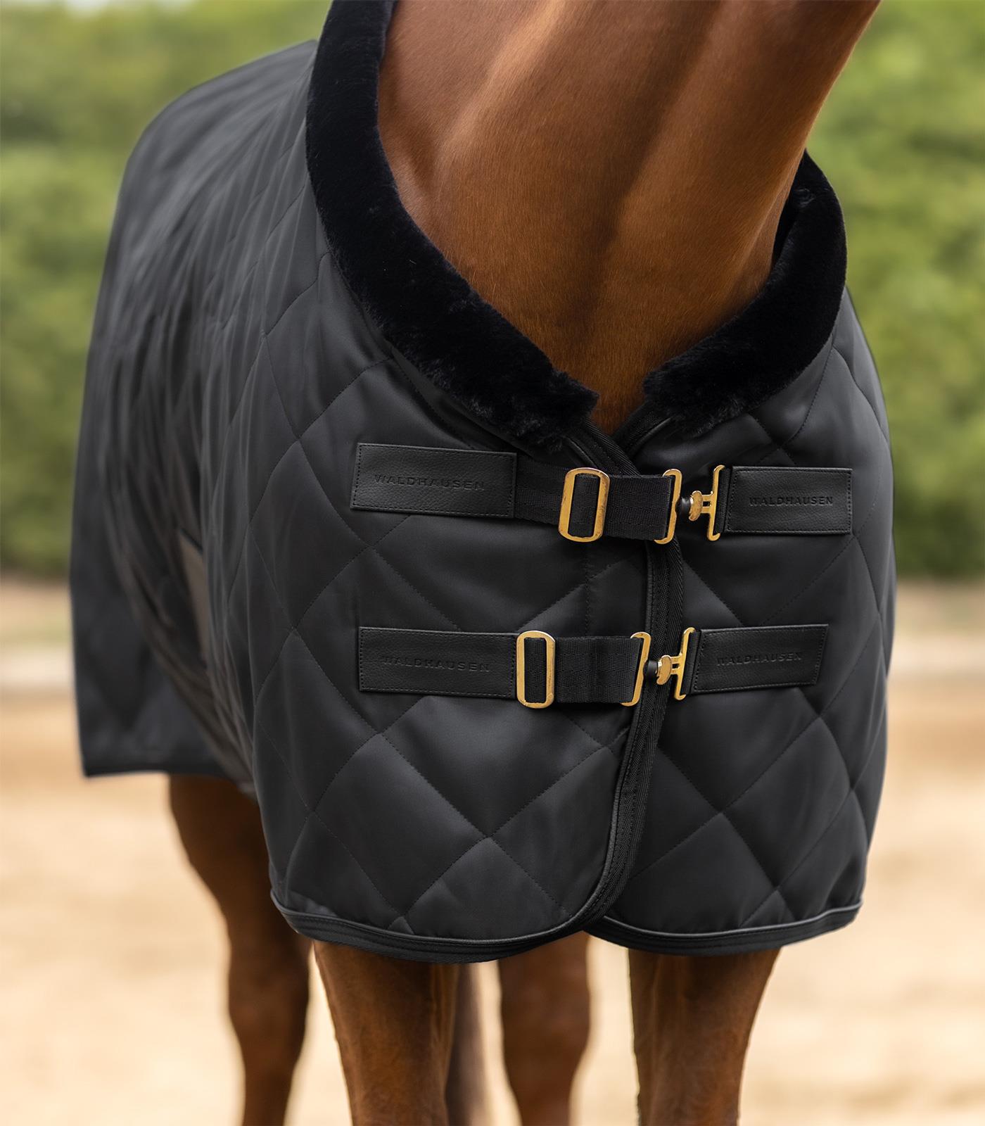 Waldhausen Exclusive Show/Stable Rug - Saddleworld Devonport