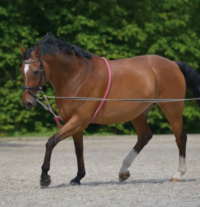 Waldhausen Lunging Aid - Saddleworld Devonport