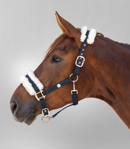 Waldhausen Modern Rose Halter - Saddleworld Devonport