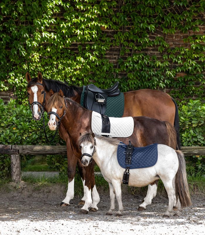 Waldhausen Shetland Saddle Pad Felix - Saddleworld Devonport