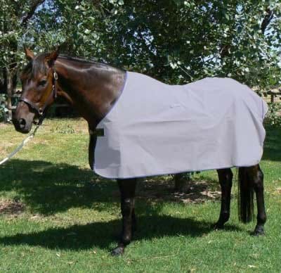 Skye Park Celsius Canvas Rug