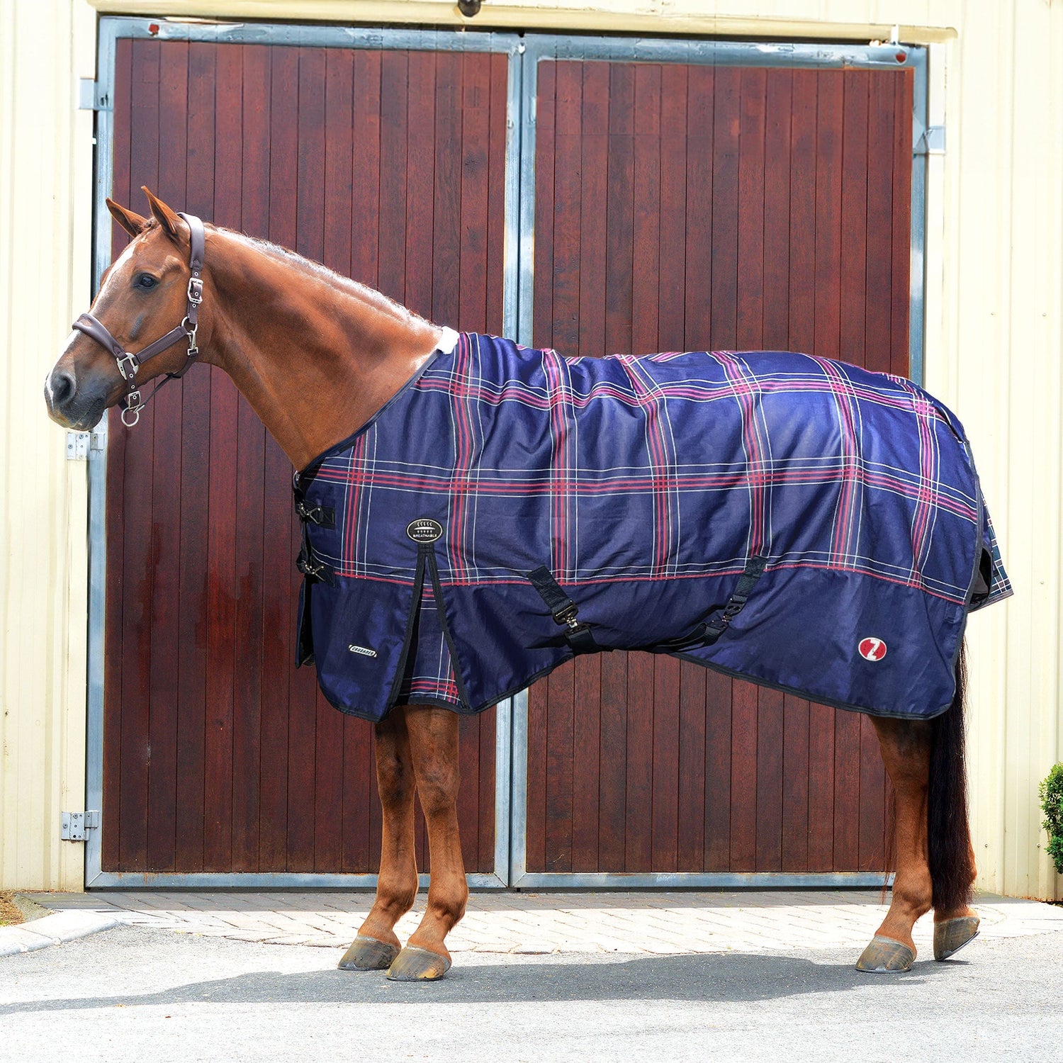 Zilco Crusader 200 Winter Rug - Saddleworld Devonport