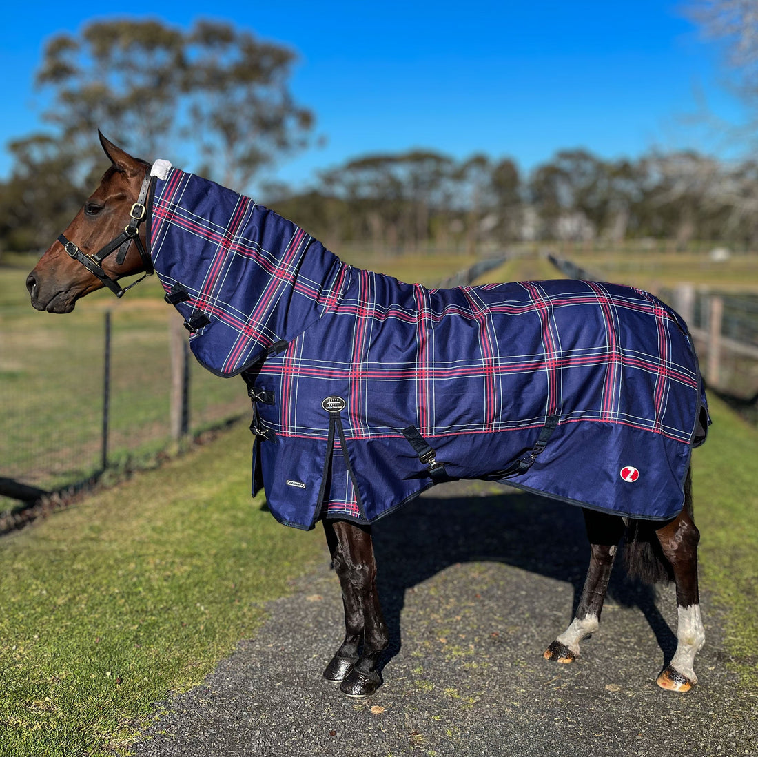 Zilco Crusader 200g Combo - Saddleworld Devonport