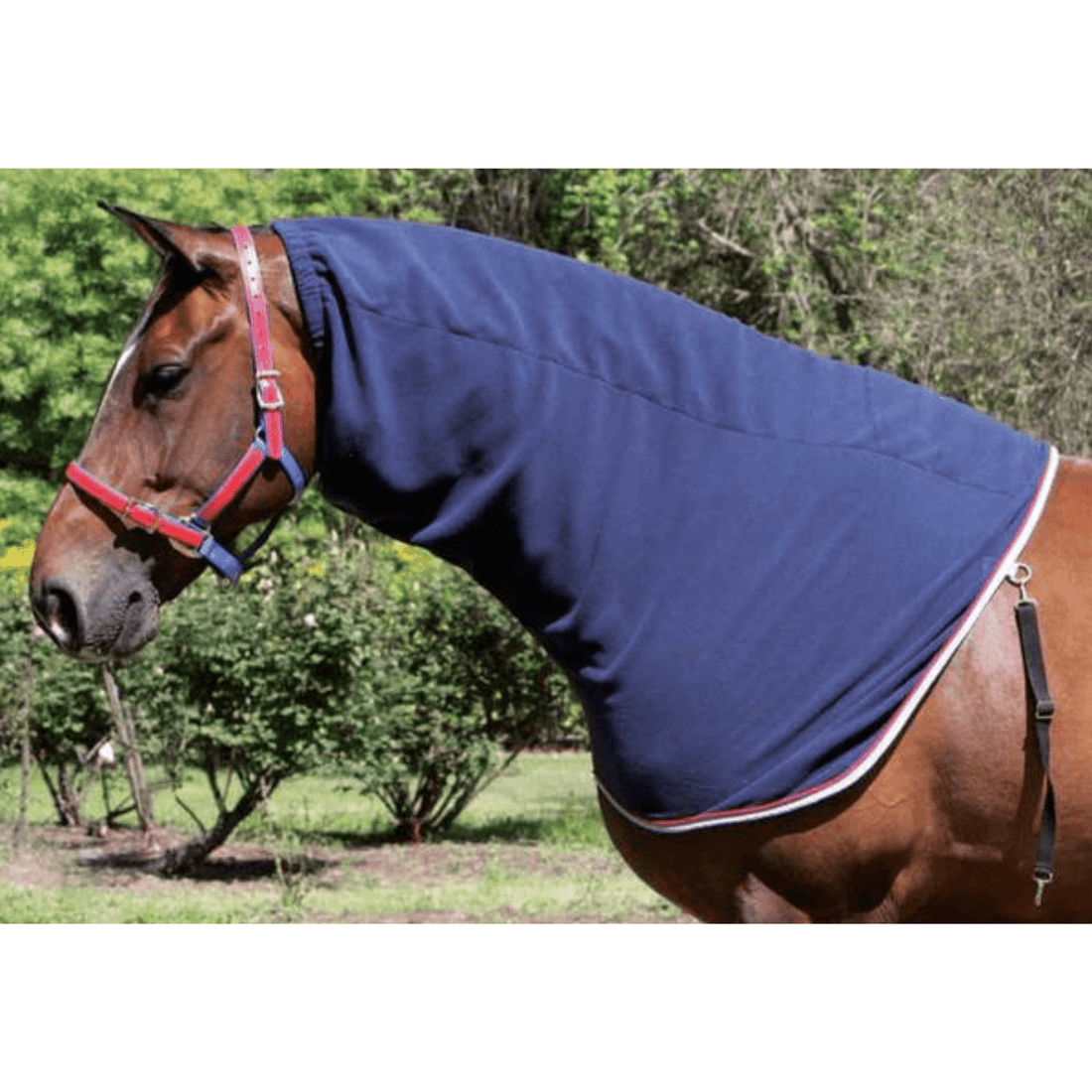 Zilco Defender Neck Sock - Saddleworld Devonport