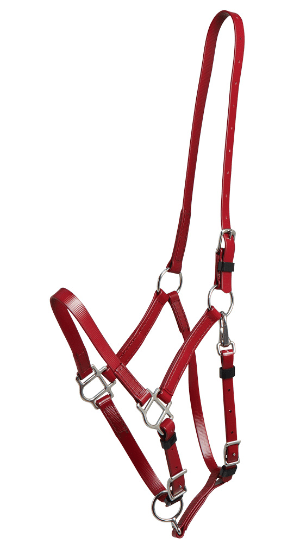 Zilco Deluxe Endurance Halter - Saddleworld Devonport