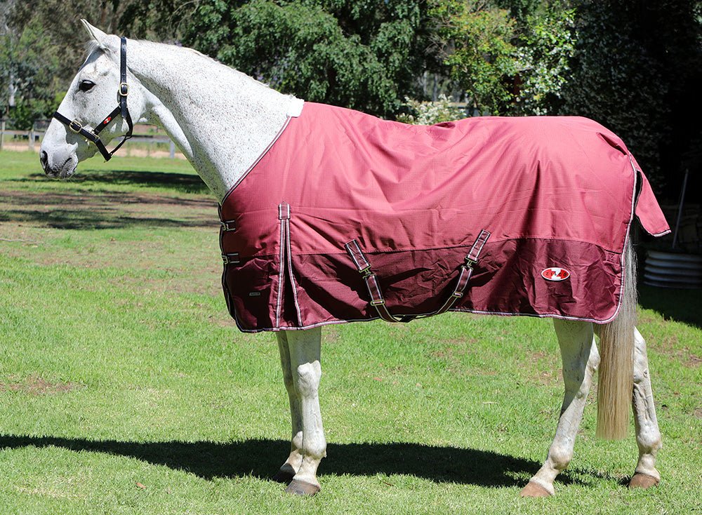 Zilco Explorer 200 Rug (600 Denier/200 Gram Fill) - Saddleworld Devonport
