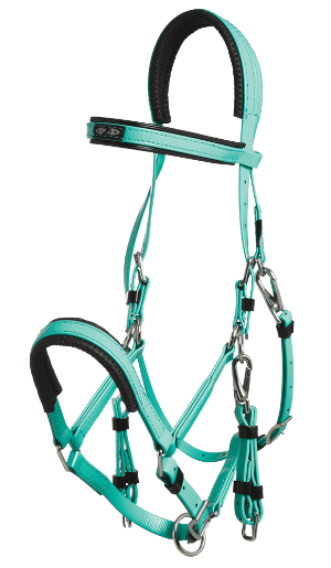 Zilco Marathon Bridle - Saddleworld Devonport