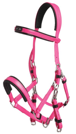 Zilco Marathon Bridle - Saddleworld Devonport