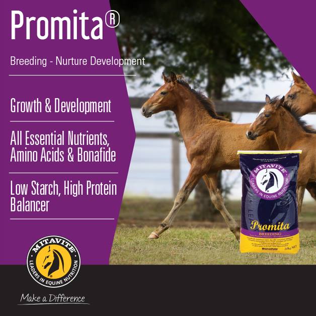 Mitavite Promita 20KG