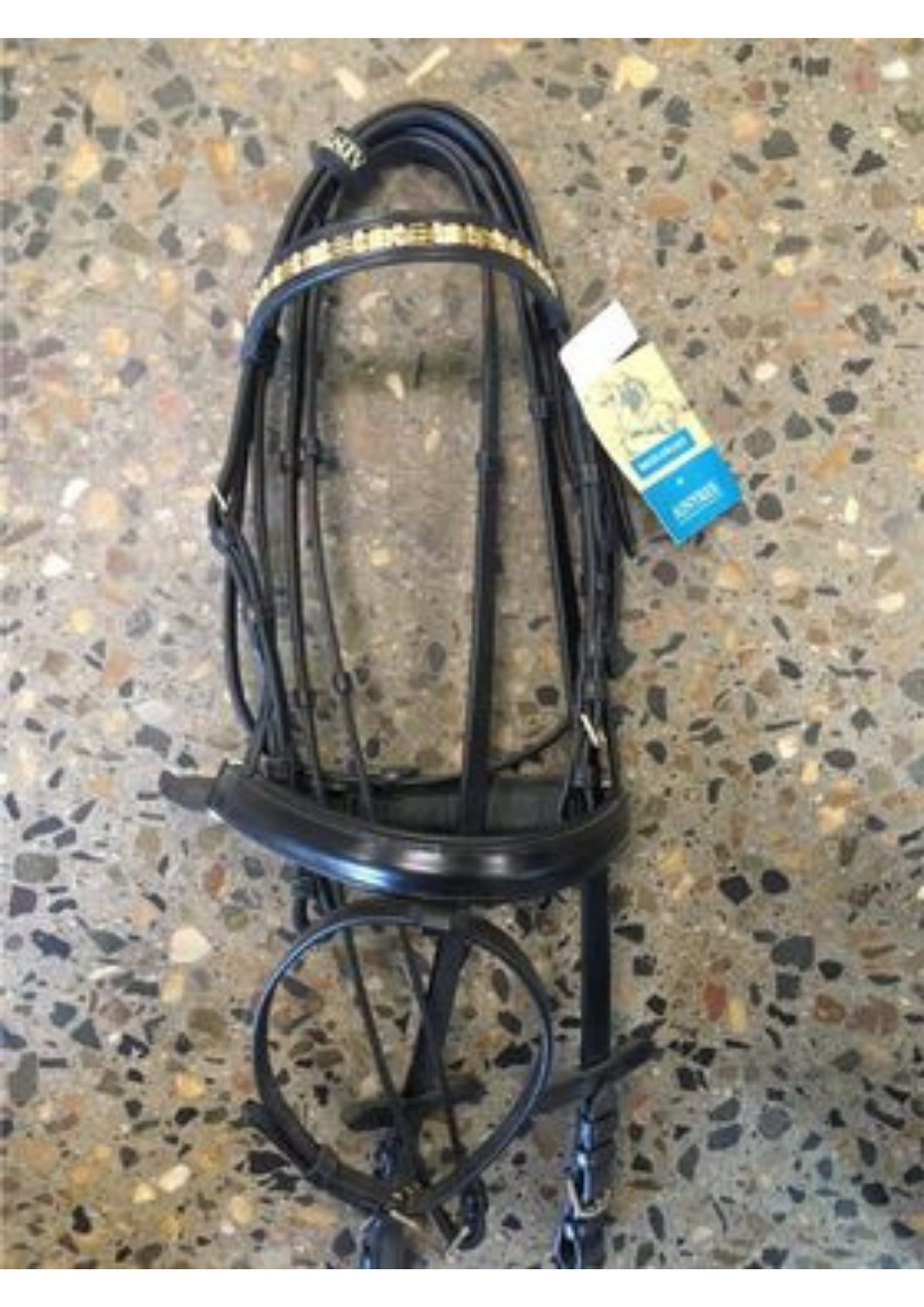 Bridle Pony Zilco