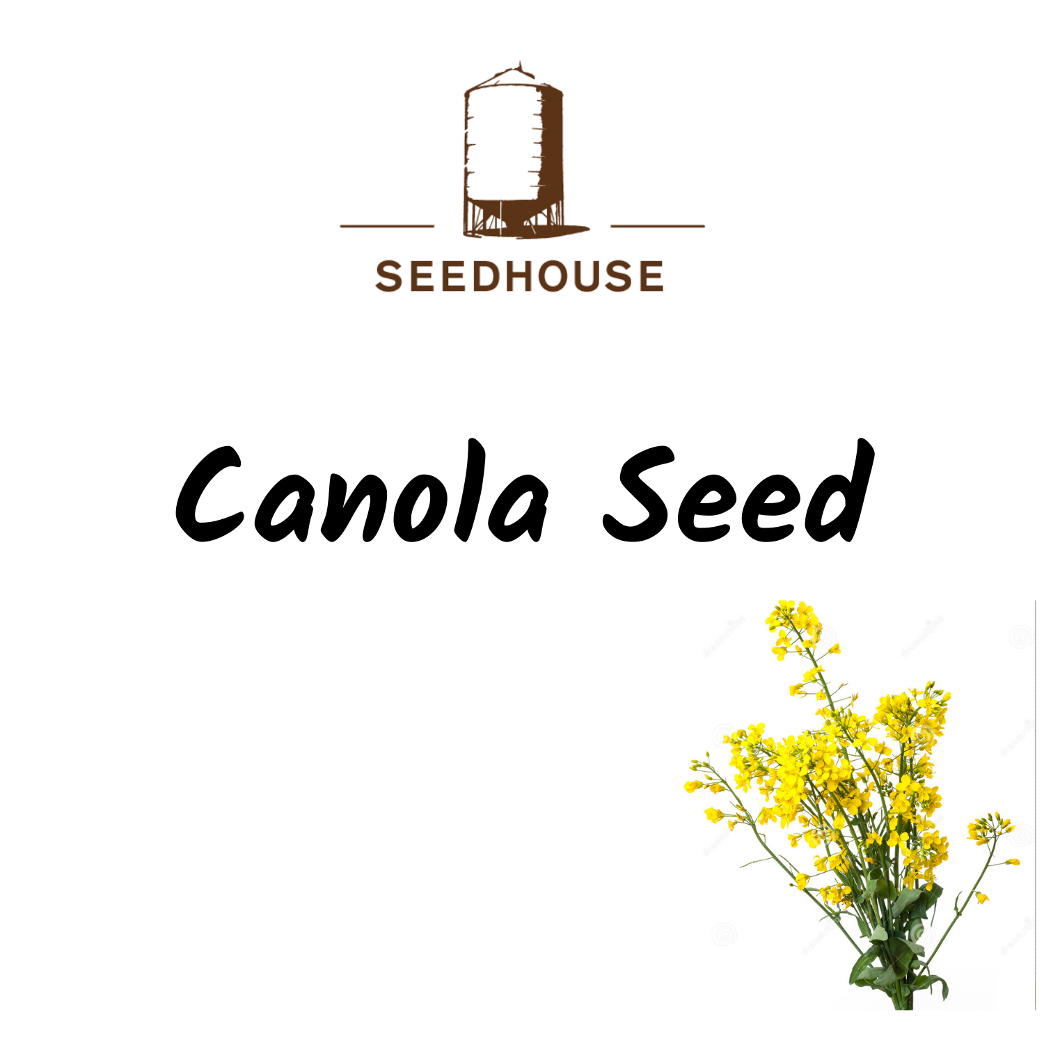 SEEDHOUSE CANOLA SEED