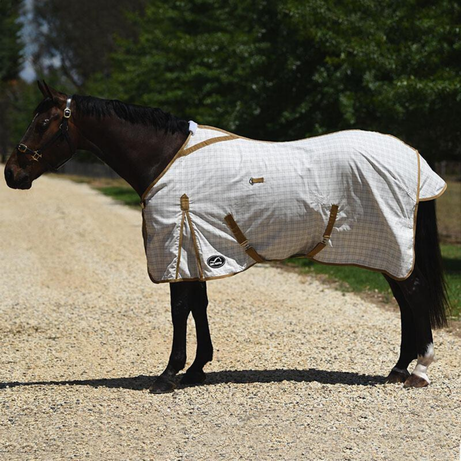 Eurohunter Grand National Crossover Rug