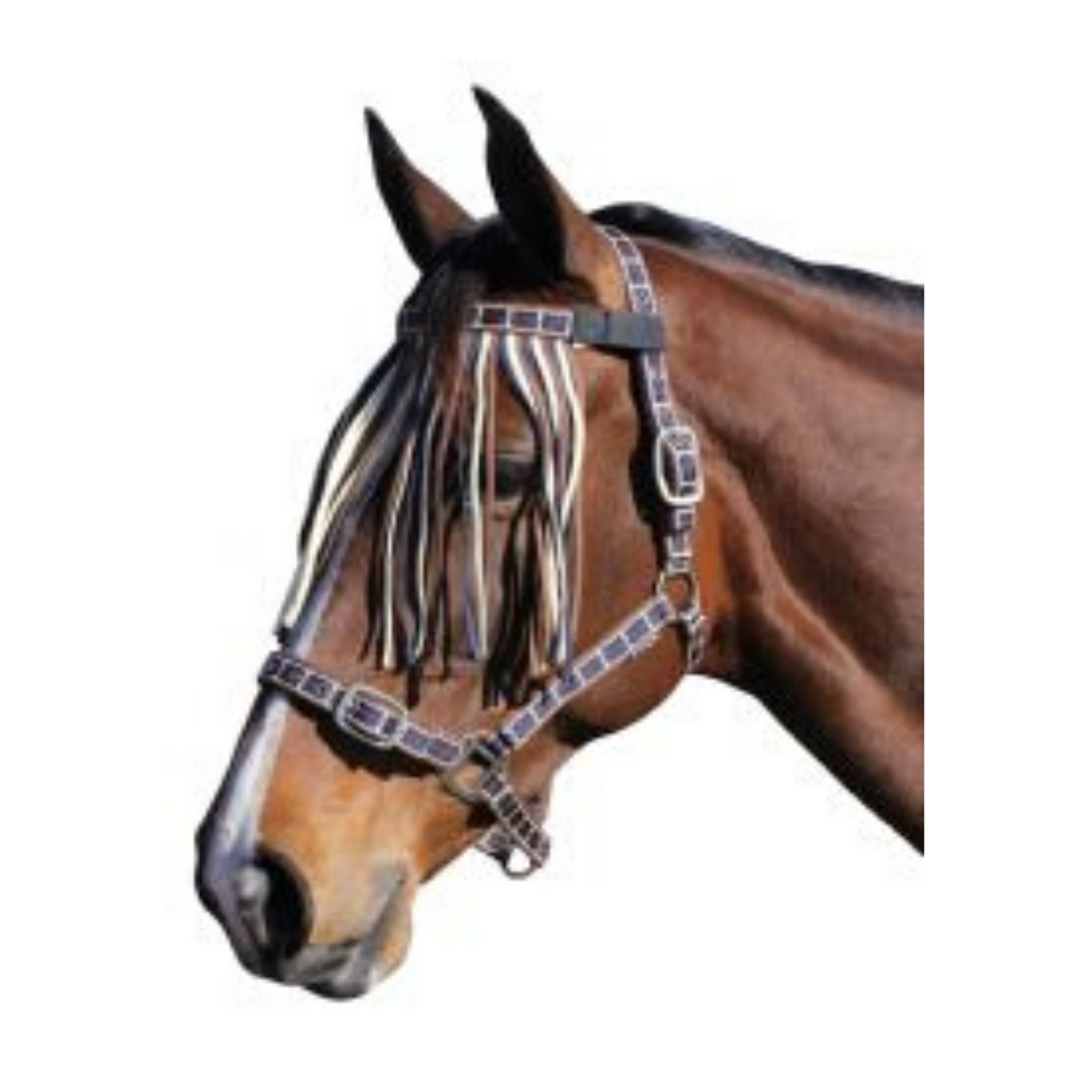 Eurohunter Halter Set