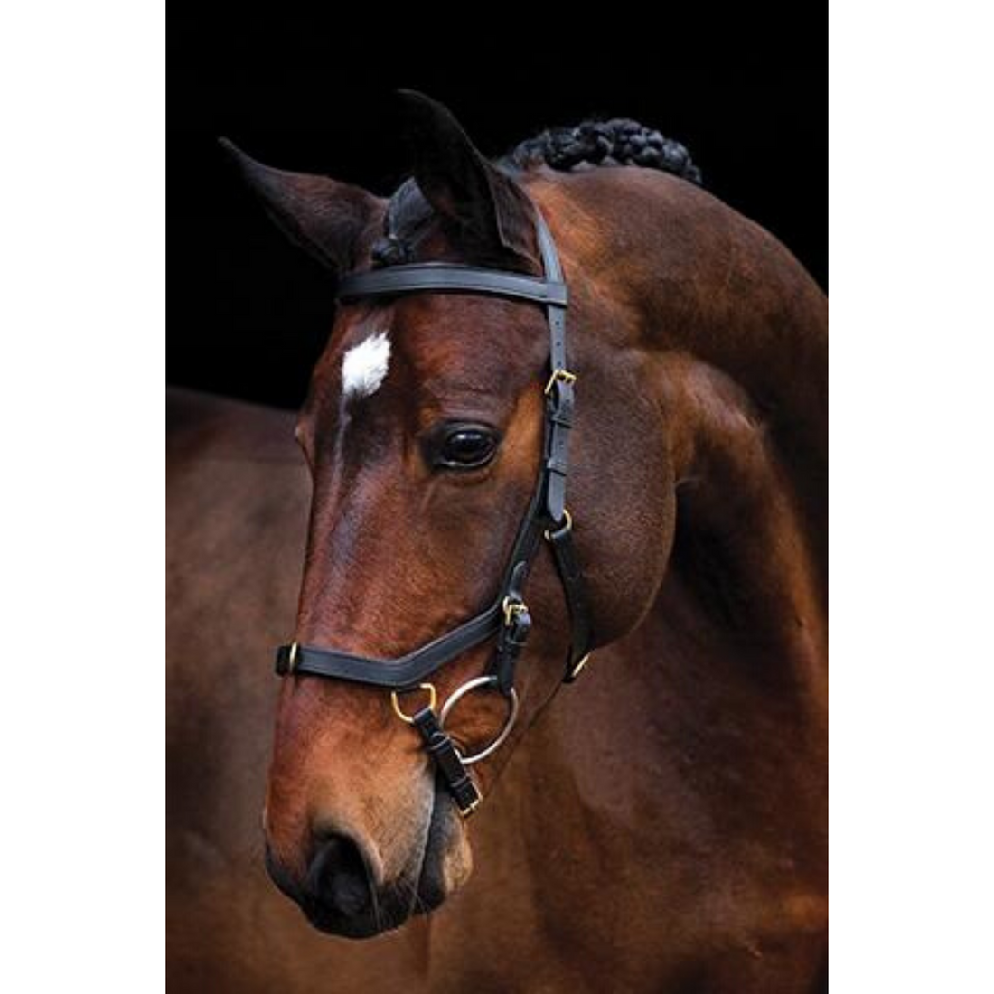 Rambo Micklem Multibridle