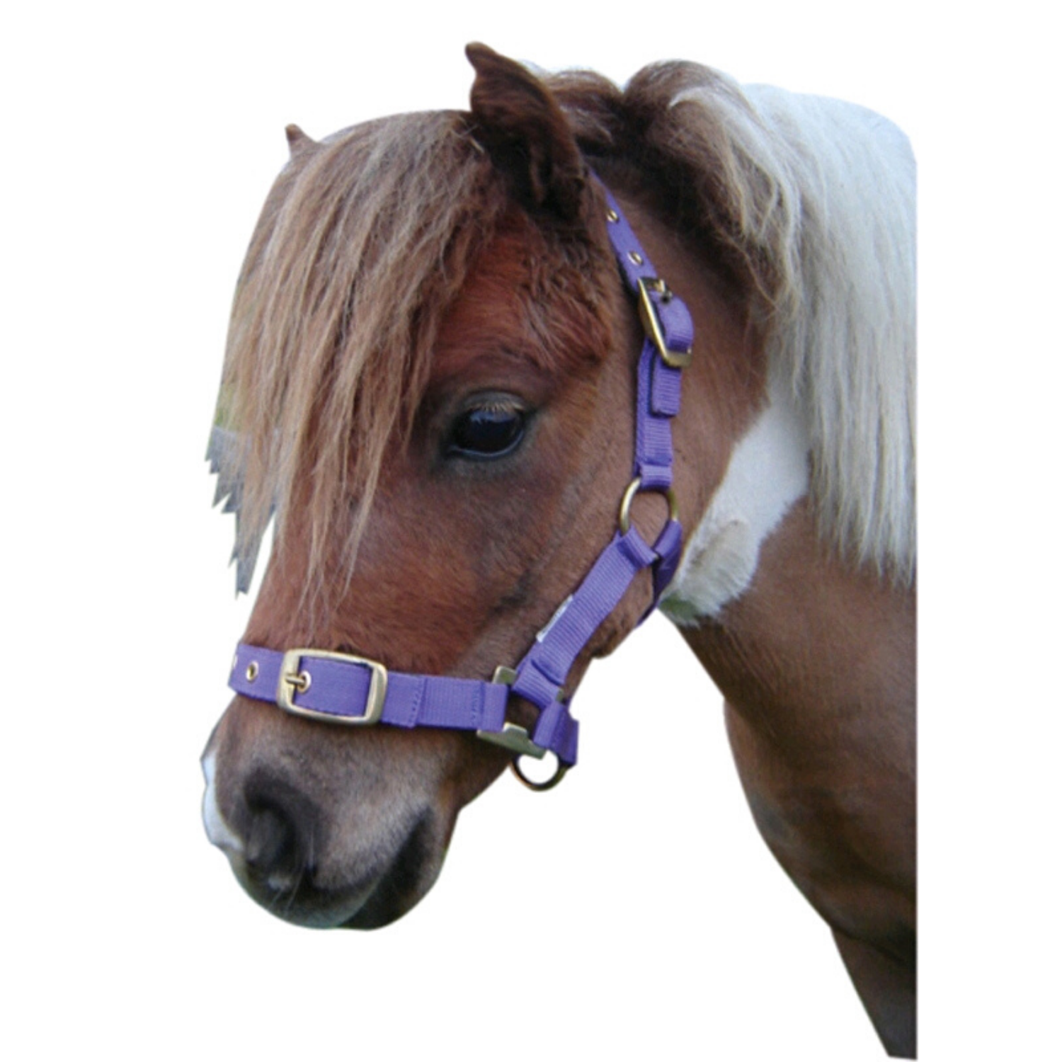 Nylon Miniature Headstall