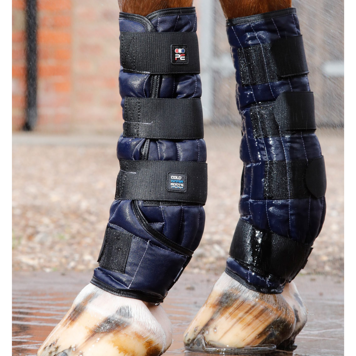Premier Equine Cold Water Boot