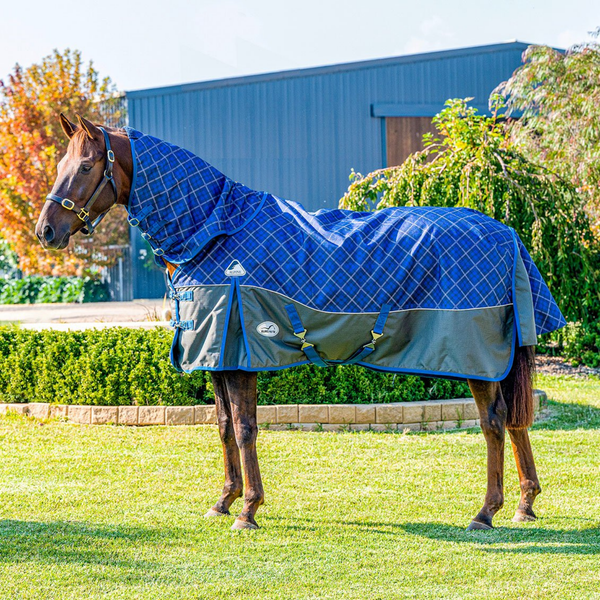 Horse Rugs Quality Equestrian Rugs Saddleworld Devonport