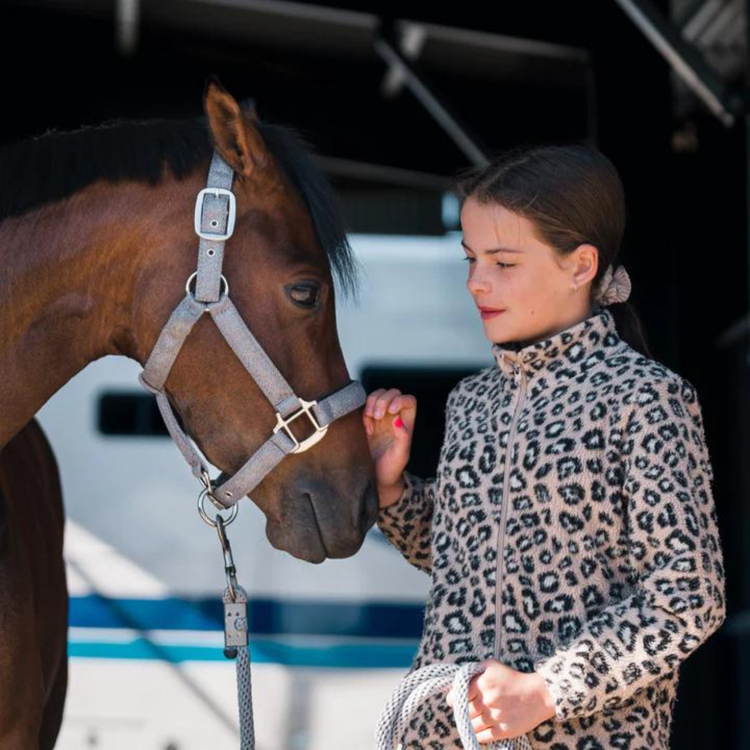 Eurohunter Glitter Halter