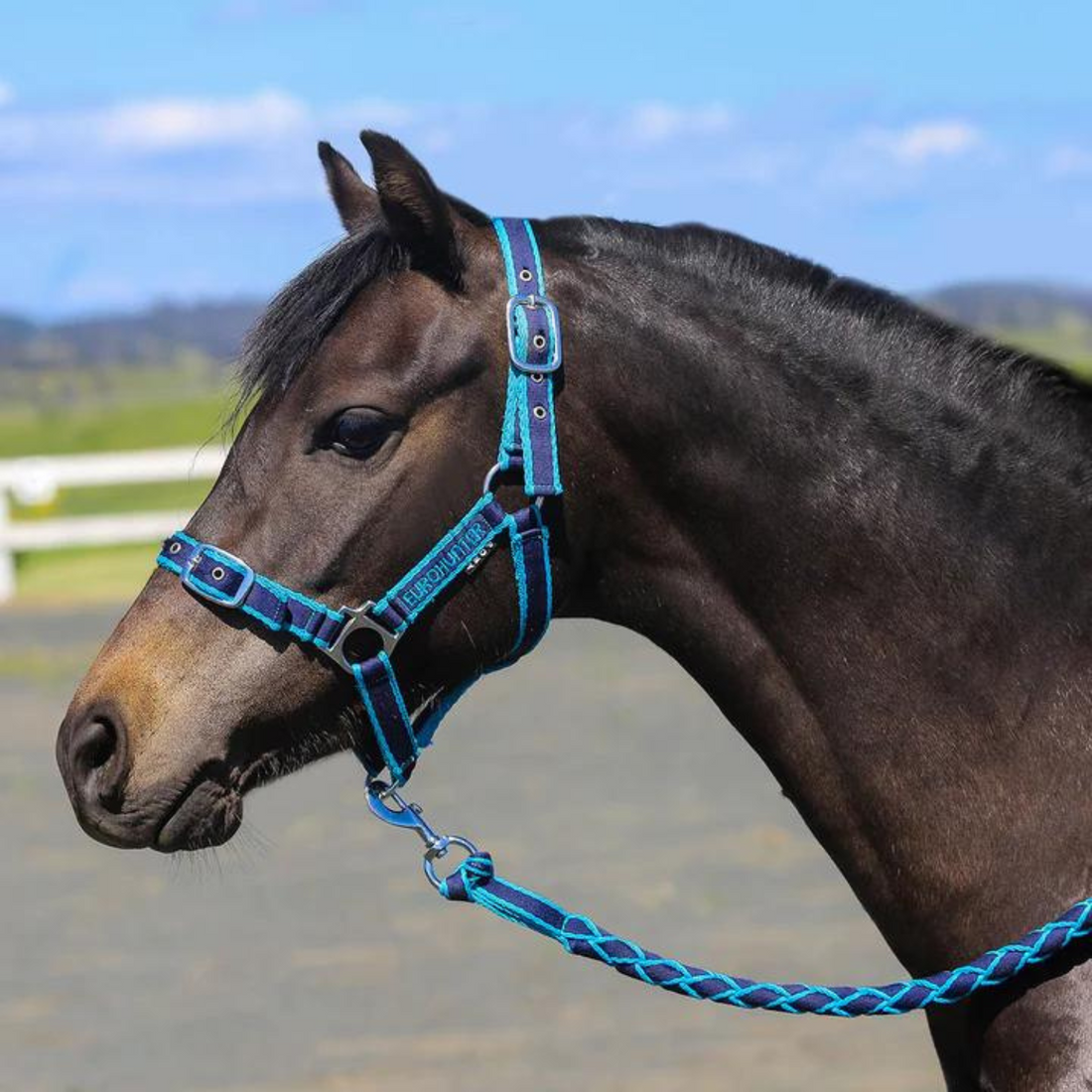 Eurohunter Comfort Halter &amp; Lead Set