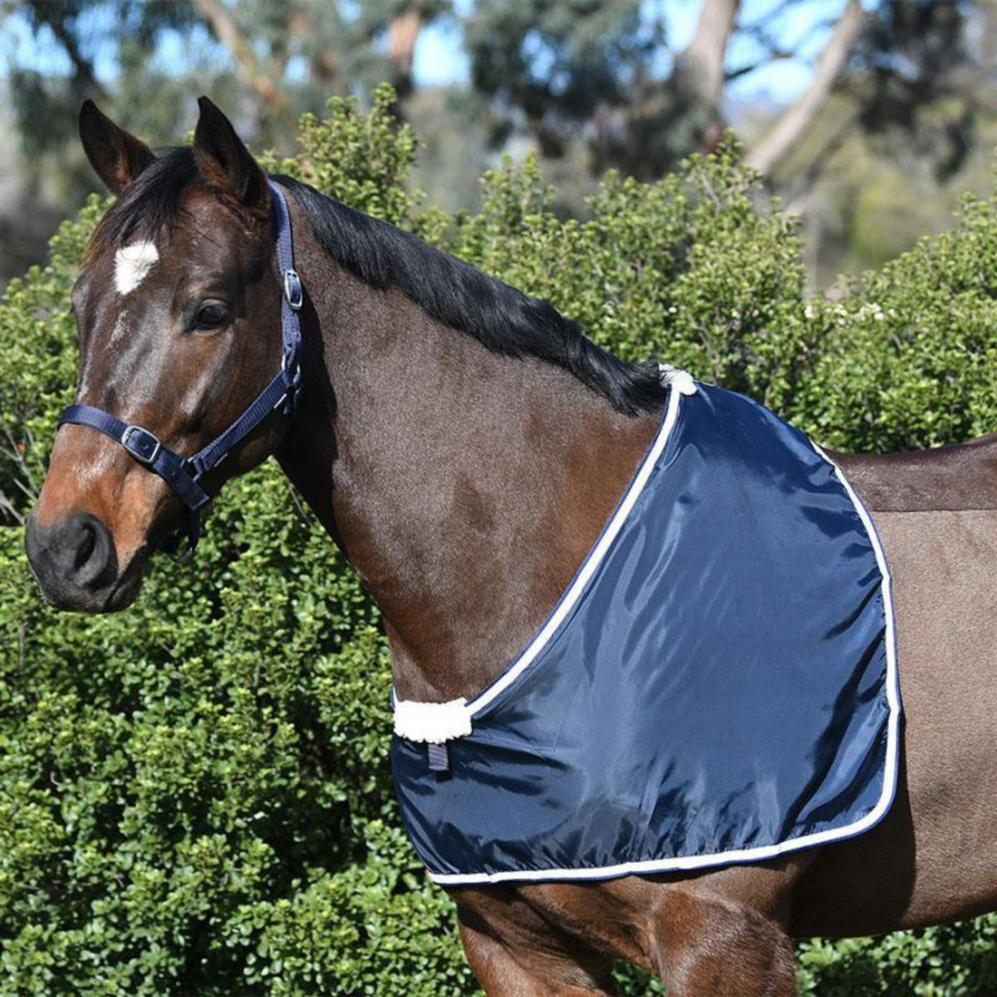 Eurohunter Taffeta Chest Bib