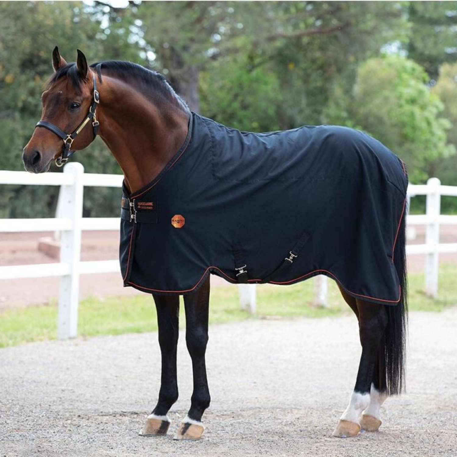 Horseware Ireland Rambo Ionic Stable Sheet