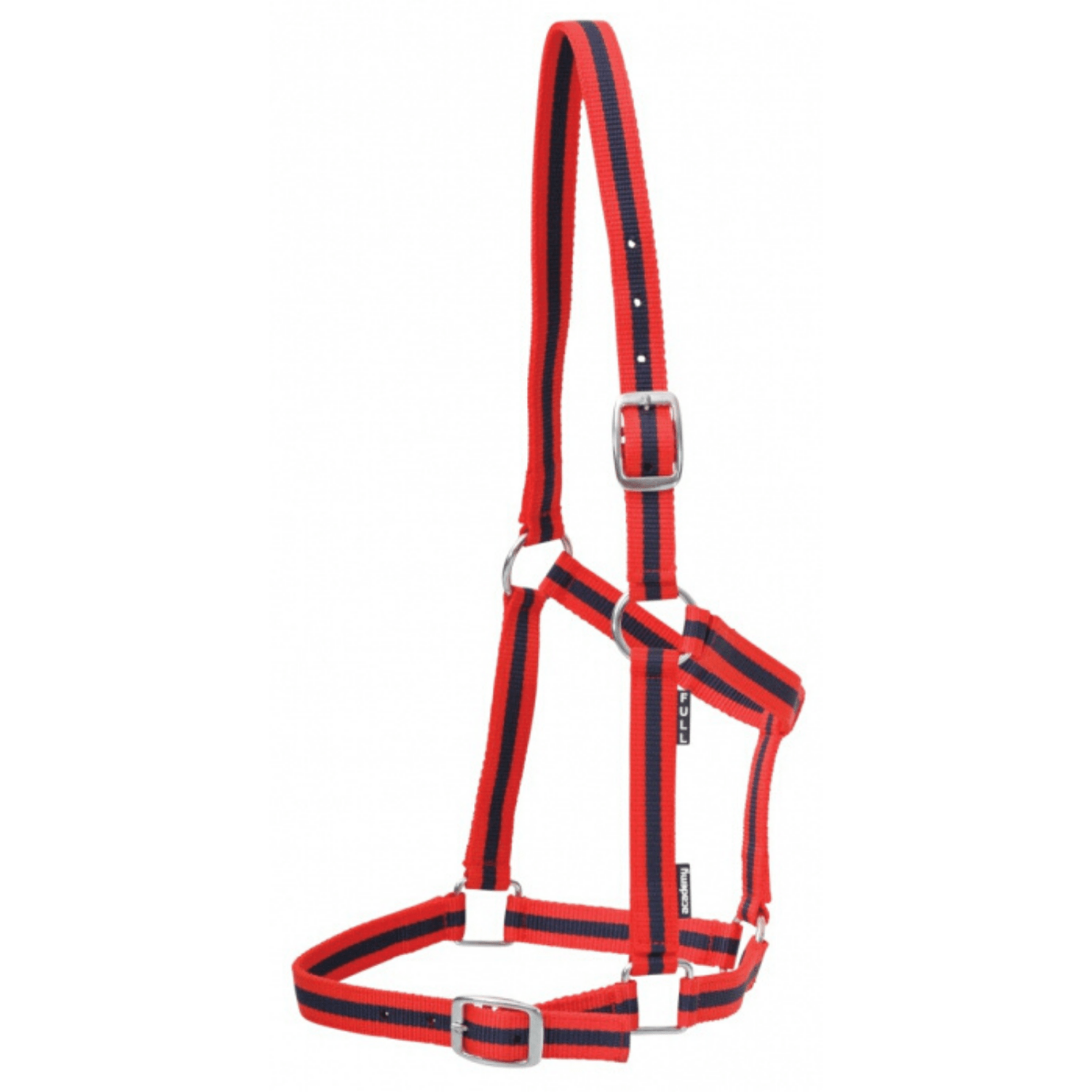 Academy Halter - Saddleworld Devonport