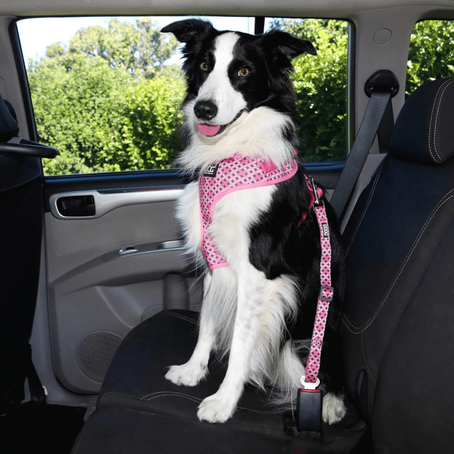 DOOG Car Restraint - Saddleworld Devonport