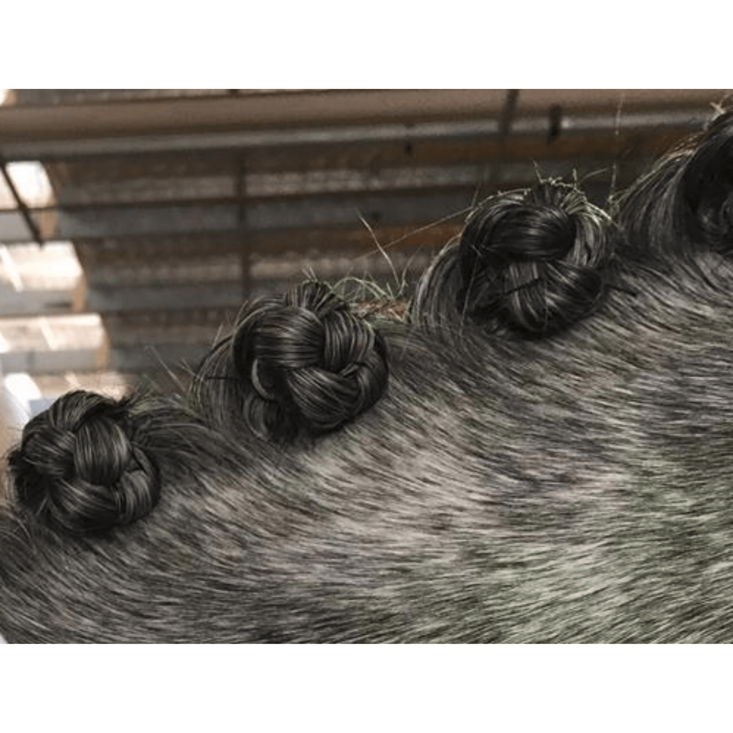 DR Show Super Mousse Braid &amp; Plait 375ml - Saddleworld Devonport