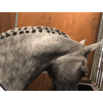 DR Show Super Mousse Braid &amp; Plait 375ml - Saddleworld Devonport