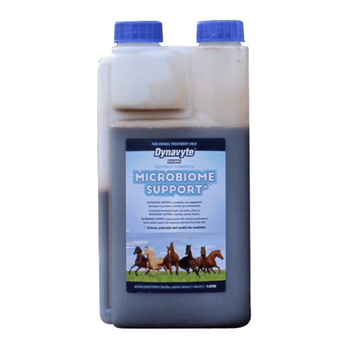 Dynavyte Microbiome Support - Saddleworld Devonport