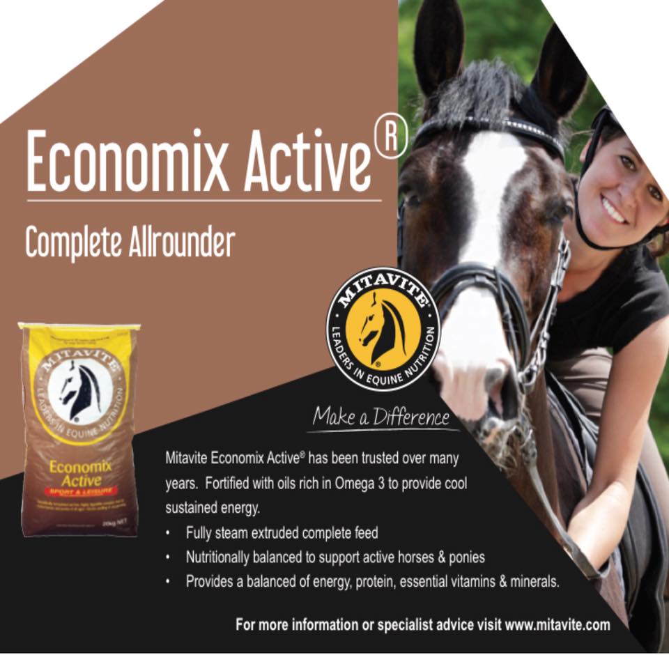 Mitavite Economix Active 20KG