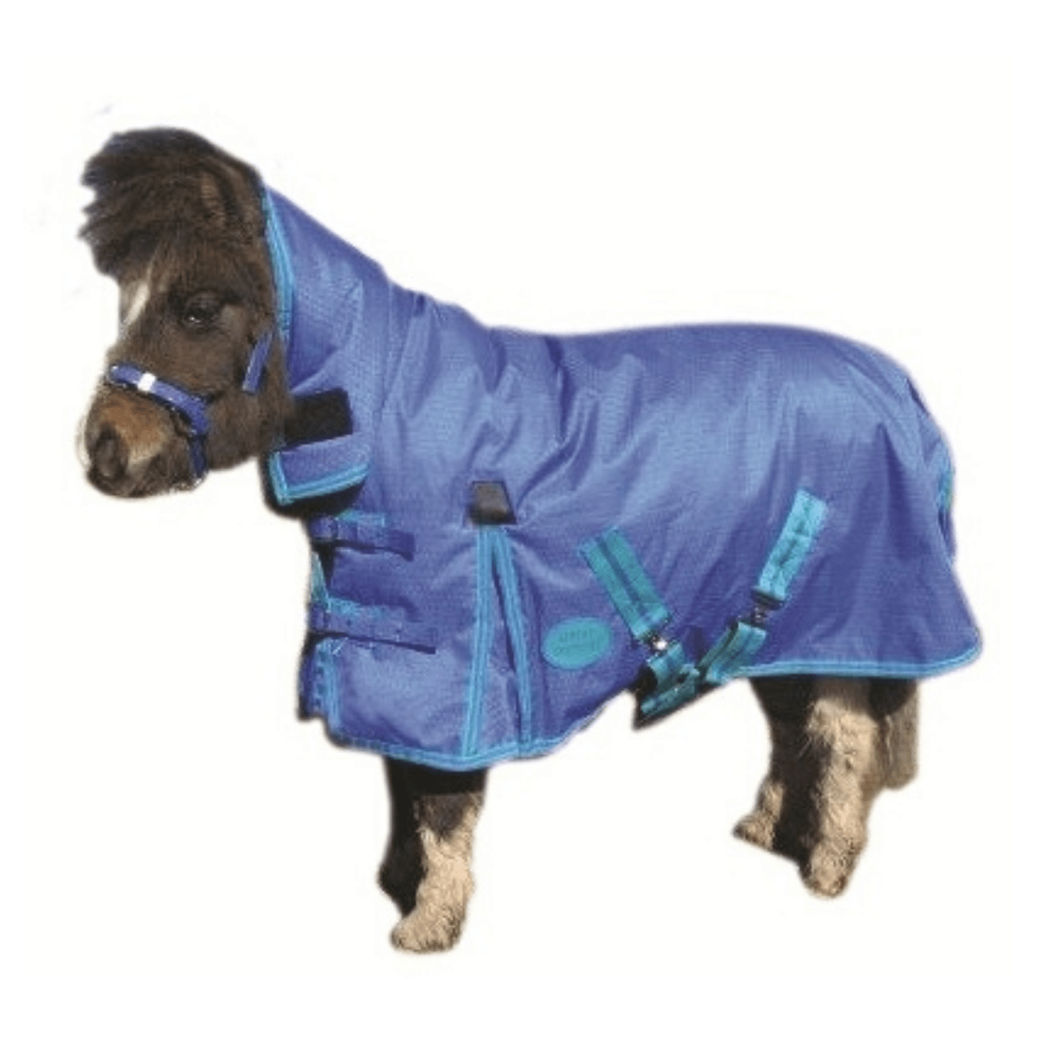 Eureka Miniature Synthetic Winter Combo - Saddleworld Devonport