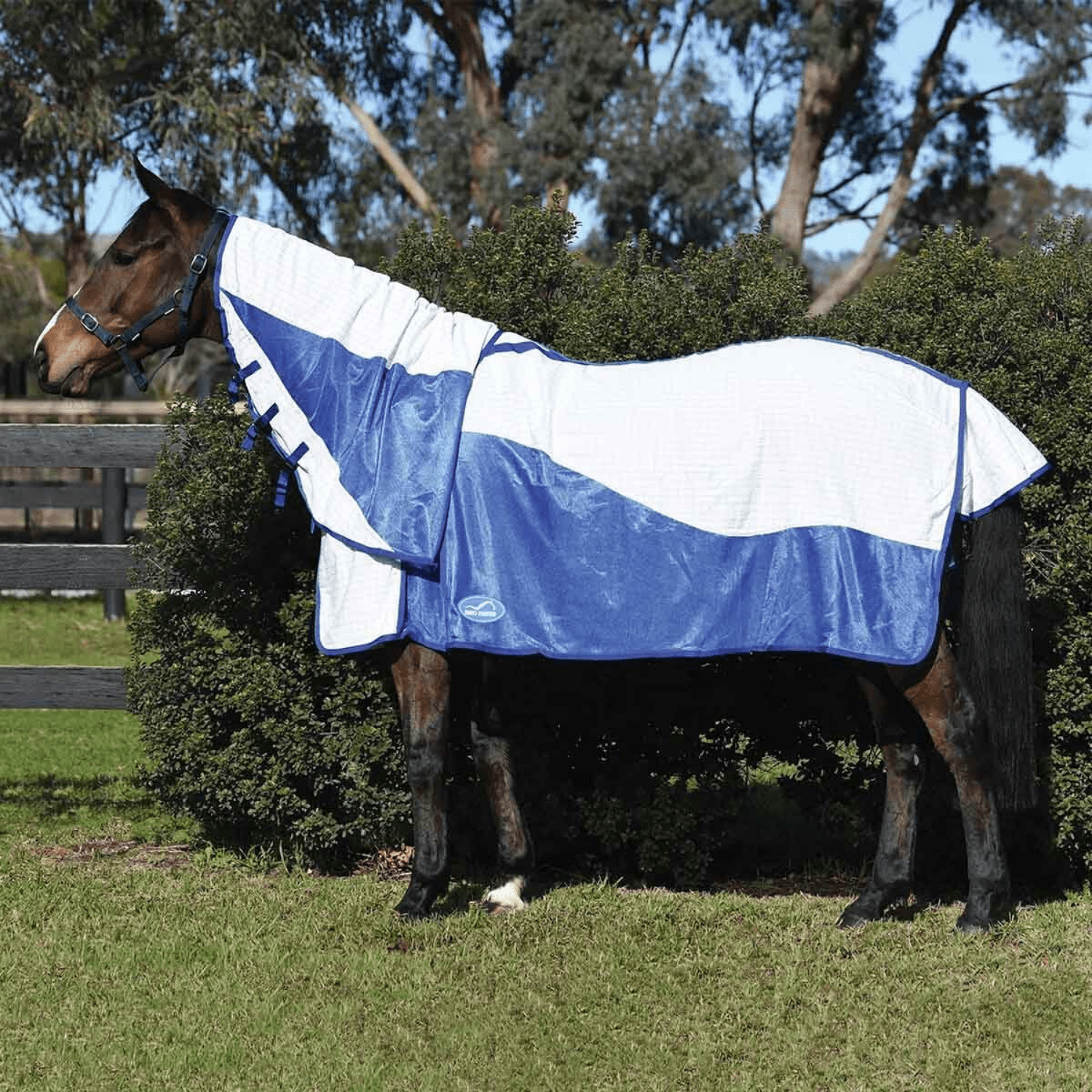 Eurohunter Airflow Combo - Saddleworld Devonport