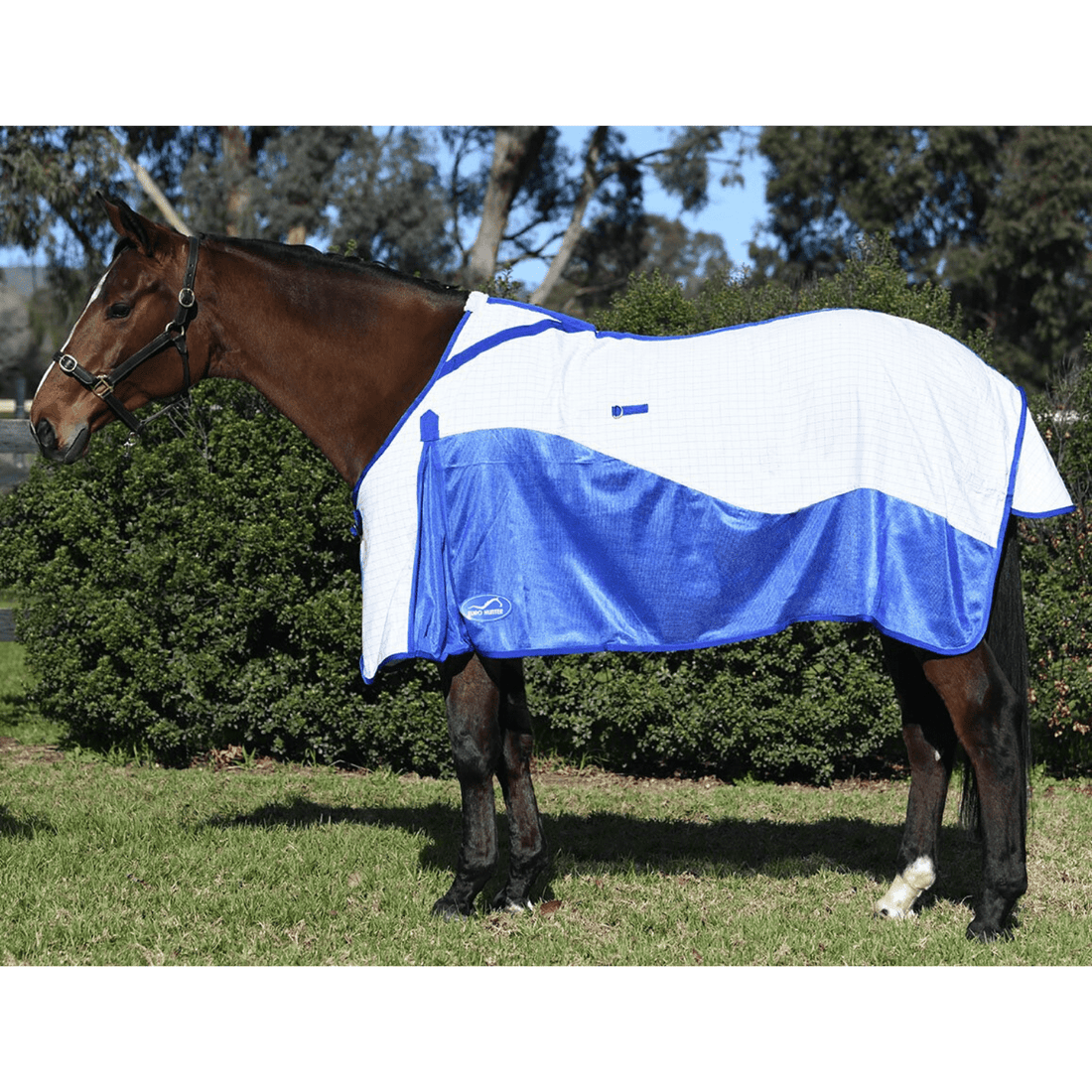 Eurohunter Airflow Rug - Saddleworld Devonport