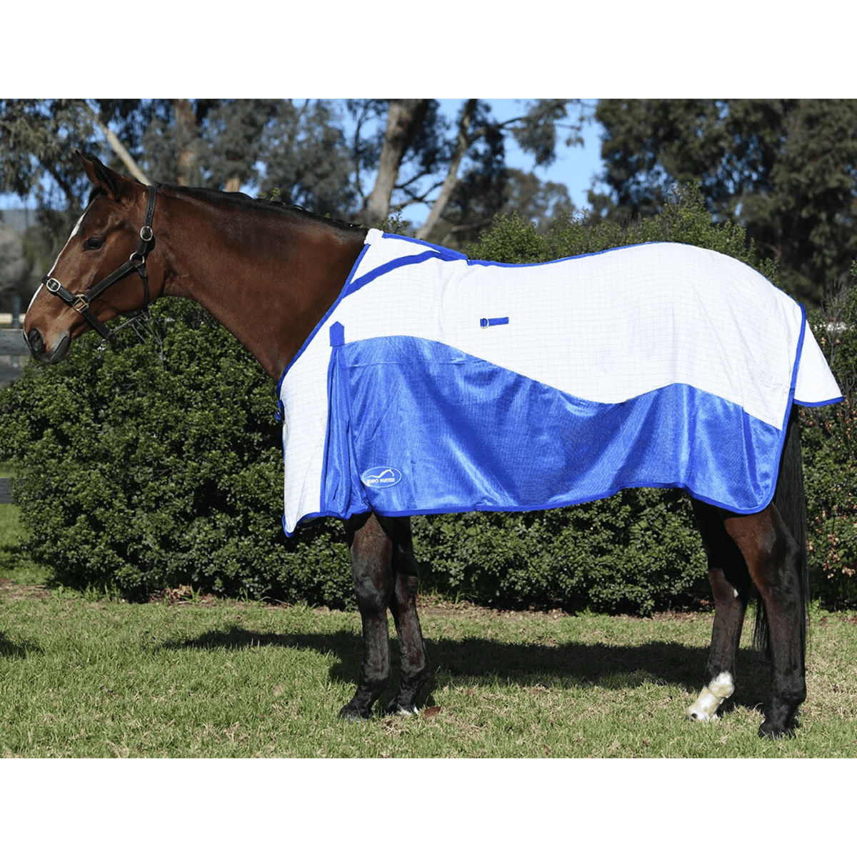 Eurohunter Airflow Rug - Saddleworld Devonport